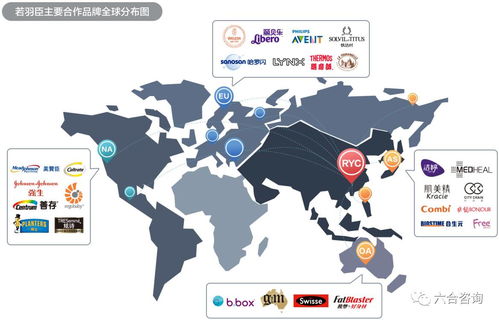 若羽臣擬IPO 以電商綜合服務助力強生、美贊臣等全球優質品牌，賦能互聯網銷售